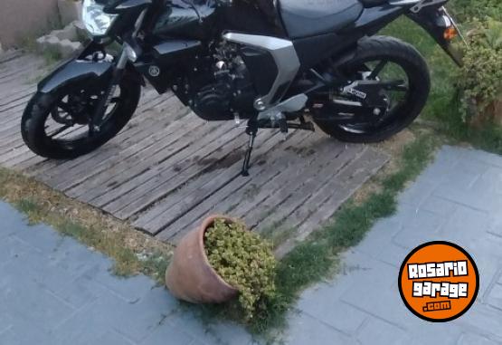 Motos - Yamaha Fz f1 2022 Nafta 2400Km - En Venta