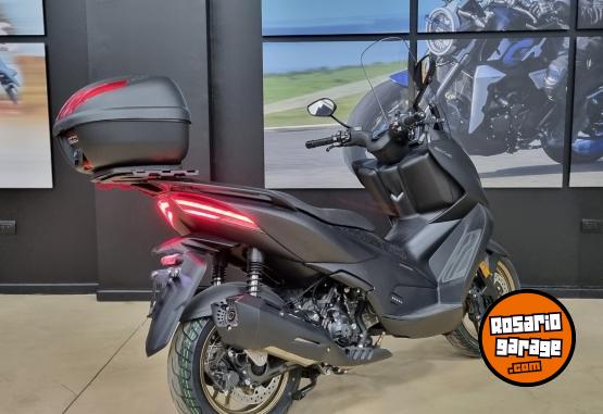 Motos - Zontes D 350 2024 Nafta 0Km - En Venta