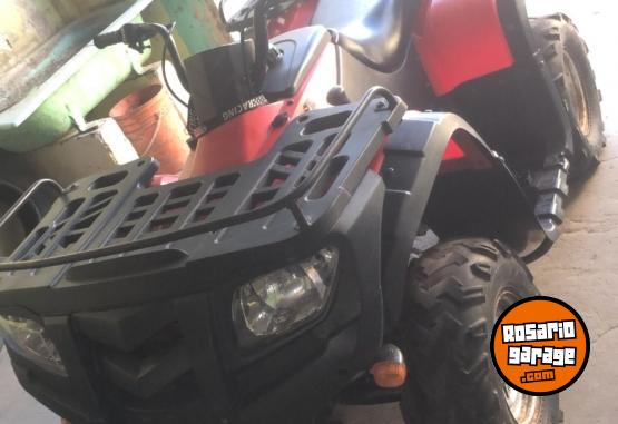 Cuatris y UTVs - Guerrero Mapuche 250cc carga 2012  3500Km - En Venta