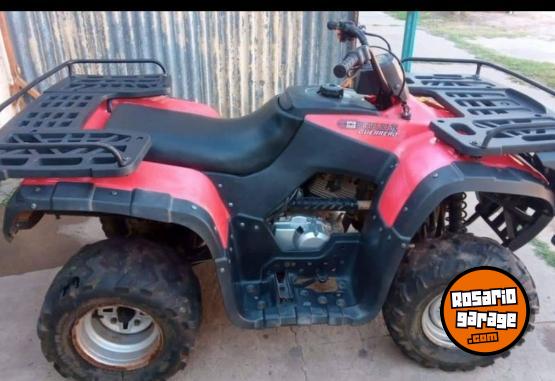 Cuatris y UTVs - Guerrero Mapuche 250cc carga 2012  3500Km - En Venta