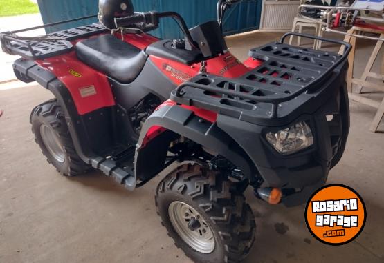 Cuatris y UTVs - Guerrero MAPUCHE 250 2014  1500Km - En Venta