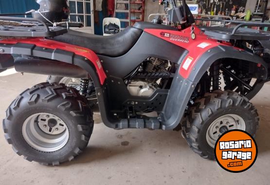 Cuatris y UTVs - Guerrero MAPUCHE 250 2014  1500Km - En Venta