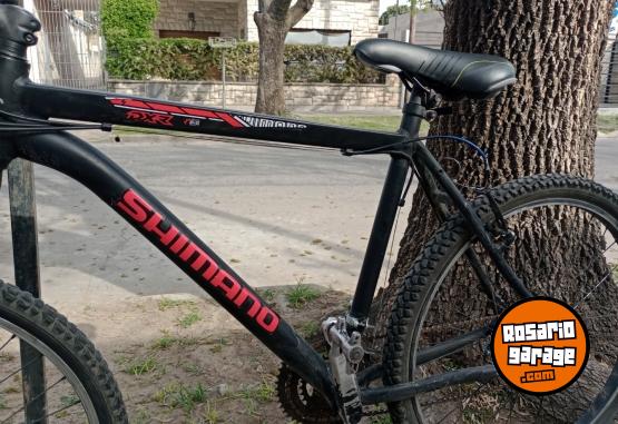 Deportes - BICICLETA MASCULINA SHIMANO RD26/29 - En Venta