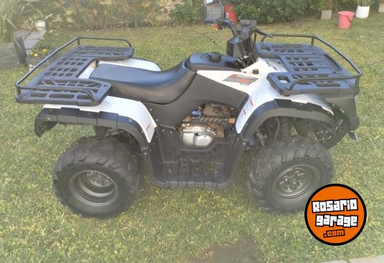 Cuatris y UTVs - Zanella G force 250 2016  800Km - En Venta