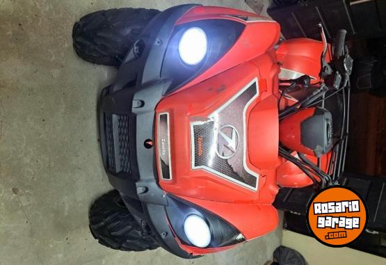 Cuatris y UTVs - Zanella Gforce 300 2008  1111Km - En Venta