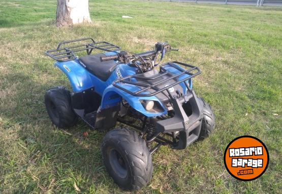 Cuatris y UTVs - Panther PANTHER 110 PARRILLERO 2012  111111Km - En Venta