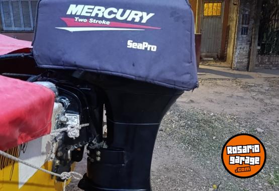 Embarcaciones - Tracker vikingo 600 con Mercury sea pro 40 hp 2t - En Venta