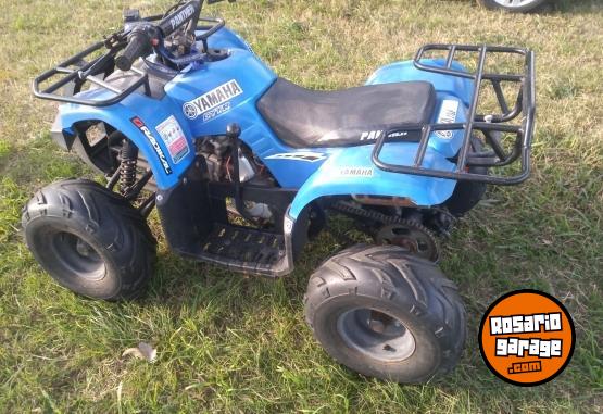 Cuatris y UTVs - Panther CUATRICICLO PANTHER 110CC 2012  2000Km - En Venta