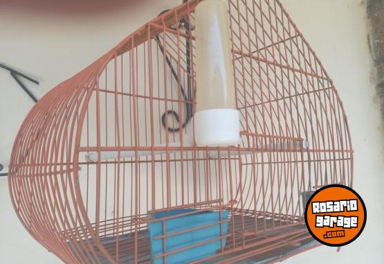 Hogar - Vendo 2 jaulas para pajaros - En Venta