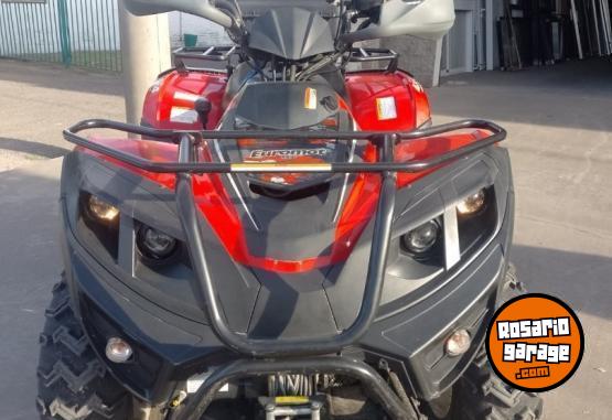 Cuatris y UTVs - Otra marca EUROMOT 300CC 2022  1069Km - En Venta