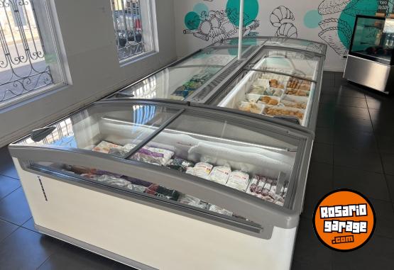 Otros - Freezer exhibidor heladera y otros - En Venta