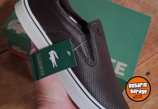 Indumentaria - Zapatillas Lacoste 🐊 - En Venta