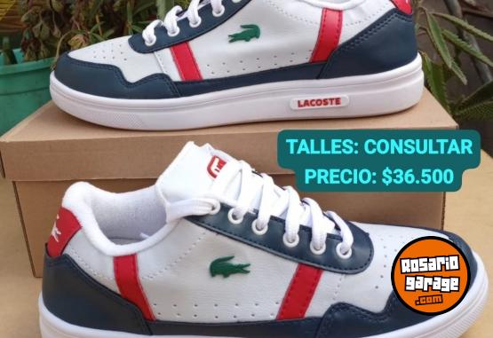 Indumentaria - Zapatillas Lacoste 🐊 - En Venta