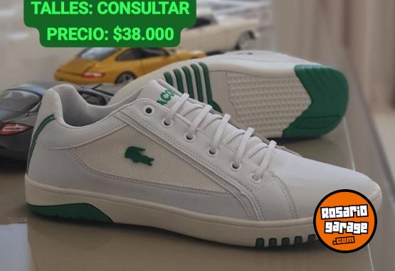 Indumentaria - Zapatillas Lacoste 🐊 - En Venta