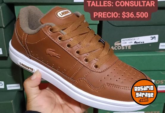 Indumentaria - Zapatillas Lacoste 🐊 - En Venta