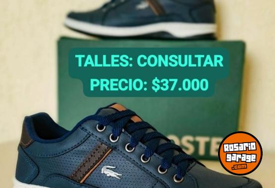 Indumentaria - Zapatillas Lacoste 🐊 - En Venta