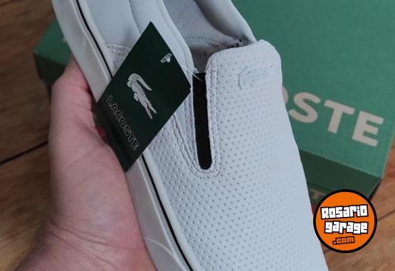 Indumentaria - Zapatillas Lacoste 🐊 - En Venta