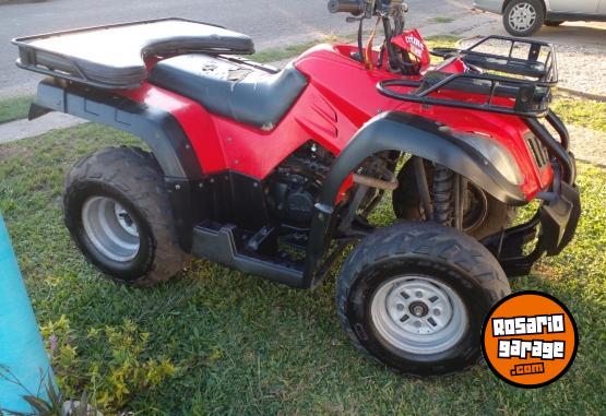 Cuatris y UTVs - Zanella Gforce 250 2013  10000Km - En Venta