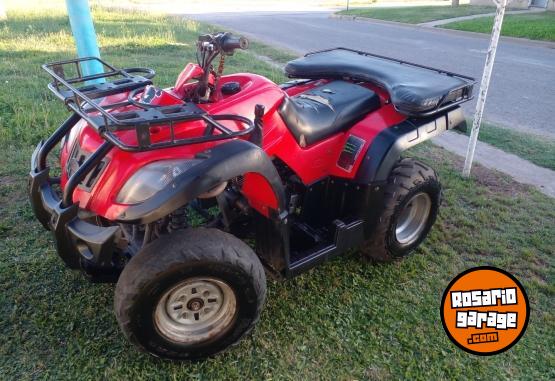 Cuatris y UTVs - Zanella Gforce 250 2013  10000Km - En Venta