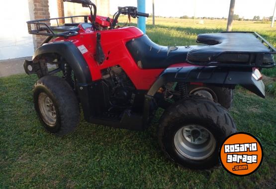 Cuatris y UTVs - Zanella Gforce 250 2013  10000Km - En Venta