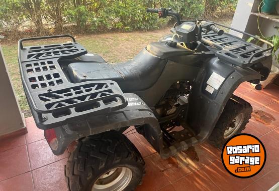 Cuatris y UTVs - Guerrero Mapuche 2012  1000Km - En Venta