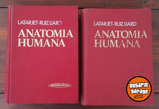 Otros - Libros de ANATOMIA de Latarjet Ruiz Liard - En Venta