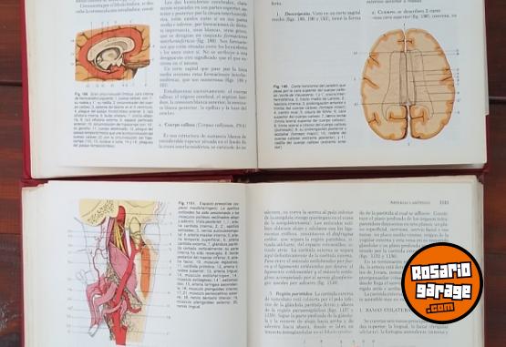 Otros - Libros de ANATOMIA de Latarjet Ruiz Liard - En Venta