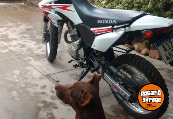 Motos - Honda XR 250 2020 Nafta 15000Km - En Venta