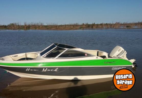 Embarcaciones - Open Eclipse 17 ao 2002 , motor johnson  115 HP - En Venta