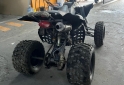 Cuatris y UTVs - Panther WR 250 2009 2009 Nafta 11Km - En Venta