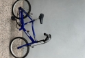 Deportes - Bicicleta rodado 20 Suarez - En Venta