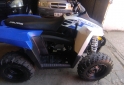 Cuatris y UTVs - Polaris Trail Blazer 330 / raptor 2012 Diesel 6000Km - En Venta