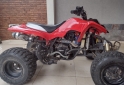 Cuatris y UTVs - Panther QUADS wr 250. 2011  100Km - En Venta