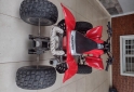 Cuatris y UTVs - Panther QUADS wr 250. 2011  100Km - En Venta