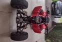 Cuatris y UTVs - Panther QUADS wr 250. 2011  100Km - En Venta