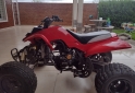 Cuatris y UTVs - Panther QUADS wr 250. 2011  100Km - En Venta