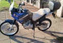 Motos - Yamaha TENERE 250 2018 Nafta 17000Km - En Venta