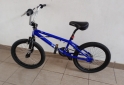 Deportes - Bicicleta rodado 20 Marca Freestyle Asfalto Fad cmo nueva.pecable - En Venta