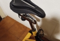 Deportes - Bicicleta de Spinning ARG 889SP  Randers - En Venta