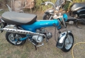 Motos - Honda dax 1997 Nafta 123456Km - En Venta