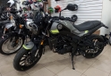 Motos - Benelli LEONCINO 250 2021 Nafta 2395Km - En Venta