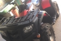 Cuatris y UTVs - Guerrero Mapuche 250cc carga 2012  3500Km - En Venta