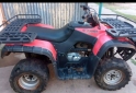 Cuatris y UTVs - Guerrero Mapuche 250cc carga 2012  3500Km - En Venta