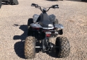 Cuatris y UTVs - Zanella FX 250 MAX 2020  1Km - En Venta