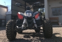 Cuatris y UTVs - Zanella FX 250 MAX 2020  1Km - En Venta