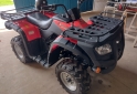 Cuatris y UTVs - Guerrero MAPUCHE 250 2014  1500Km - En Venta