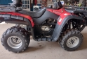 Cuatris y UTVs - Guerrero MAPUCHE 250 2014  1500Km - En Venta