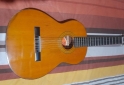 Instrumentos Musicales - Vendo guitarra criolla espaola - En Venta