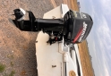 Embarcaciones - Bote fishing  Virgine marine 430 Mercury 30 hp 2t usado - En Venta