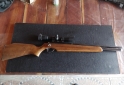 Deportes - Rifle 5.5 co2 - En Venta